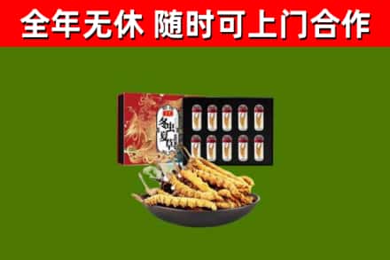 杨浦区烟酒回收冬虫夏草礼盒.jpg